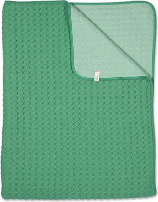 Produktbild von Pip Studio Throw Fill in the dots Farbe Grün Größe 260x260