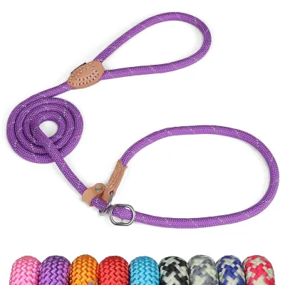 Image de Laisse et collier réfléchissants 2-en-1 pour chiens et chats