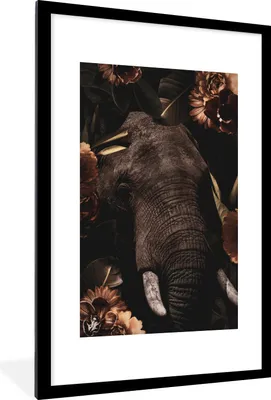 Produktbild von MuchoWow® MuchoWow® Gerahmtes Poster Elefant - Blumen - Dschungel 60x90 cm - Poster mit zchwarzem Bilderrahmen - Dekoration - Wandposter Wohnzimmer - Hochwertig