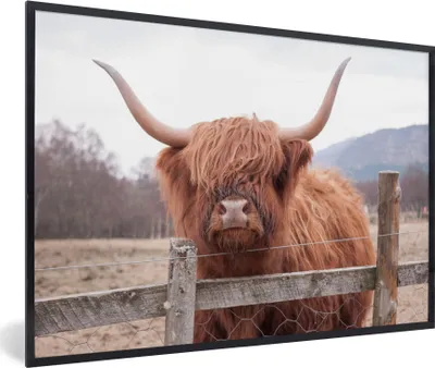 Produktbild von MuchoWow® Gerahmtes Poster Scottish Highlander - Gras - Zaun 90x60 cm - Poster mit Schwarzem Bilderrahmen Wandposter Rahmen Foto Bilder - Fotorahmen - Foto-Plakat