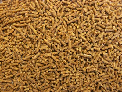 Produktbild von deuka Putenmast P3 gekörnt 25 kg