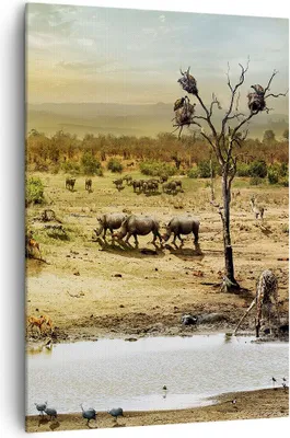 Produktbild von Bild auf Leinwand - Leinwandbild - Einteilig - Safari Tiere - 70x100cm - Wand Bild - Wanddeko - Wandbilder - Leinwanddruck - Kunstdruck - Wanddekoration - Leinwand bilder - Wandbild - PA70x100-3880