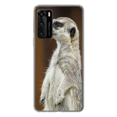 Produktbild von MuchoWow® Handyhülle Schutzhülle Hülle für Huawei P40 Erdmännchen - Tier - Spiel Silikon Softcase Handy Hülle - Handytasche