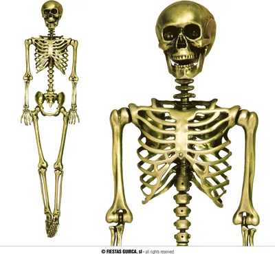 Immagine prodotto di Halloween scheletro decorazione spaventoso sfondo teschio eye-catcher partito accessorio
