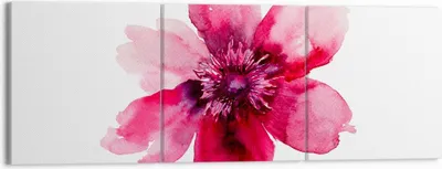 Produktbild von Bild auf Leinwand - Leinwandbild - Malerei Illustration Sommer Blume - 150x50cm - Wand Bild - Wanddeko - Leinwanddruck - Bilder - Kunstdruck - Leinwand bilder - Wandkunst - CA150x50-2789