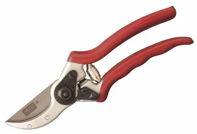 Image de SIENA GARDEN Ciseaux Premium Bypass