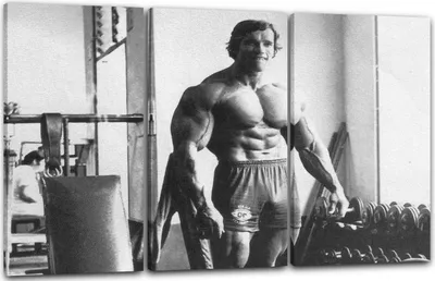 Produktbild von Leinwandbild 3-teilig (120x80cm): Junger Arnold Schwarzenegger im Trainingsraum Oberkörper frei, echter Holz-Keilrahmen inkl. Aufhänger, handgefertigt in Deutschland