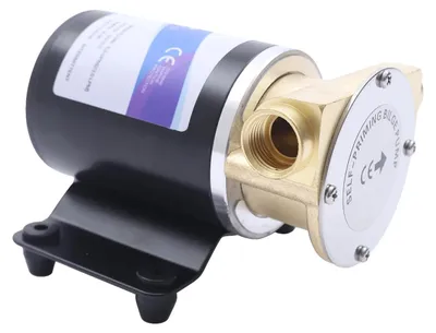 Imagen del producto de Bomba autocebante, caudal de 23 litros por minuto, motor de 120W, 12V, color