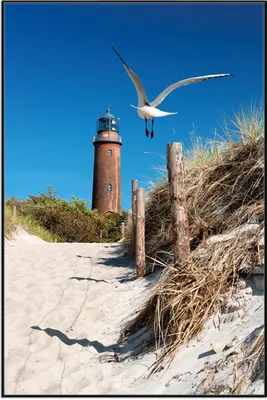 Produktbild von Wallario Wandbild Möwe am Strand mit Leuchtturm, Größe: 61 x 91,50 cm, Poster mit schwarzem Aluminiumrahmen