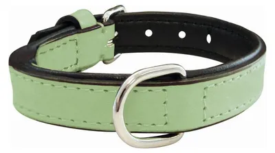 Image de Collier de chien Gloria rembourré vert (55 x 2,5 cm)