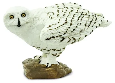 Produktbild von Safari Ltd Schnee-eulen-figur Weiß From 3 Years Kinder Weiß From 3 Years