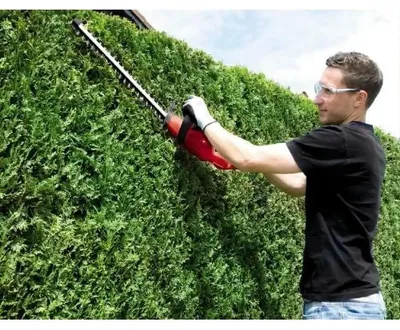 Image de Einhell Taille-haies électrique GH-EH 4245