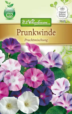 Produktbild von Prunkwinde PrachtMischung  | Windensamen von N.L. Chrestensen