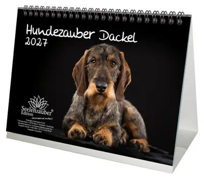 Produktbild von Hundezauber Dackel DIN A5 Tischkalender 2027 Hunde - Seelenzauber