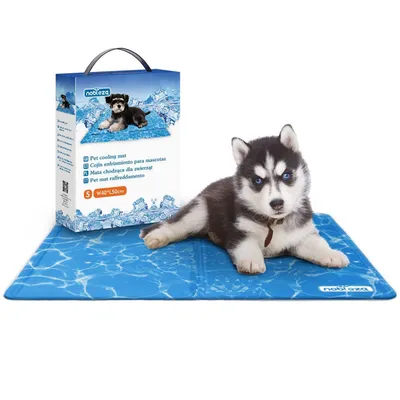 Zdjęcie produktu dla Mata Chłodząca Dla Psa Kota 50X40 Cm Z Nadrukiem Mocno Chłodzi