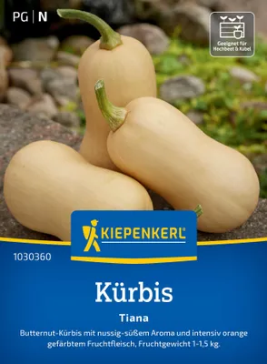 Produktbild von Kiepenkerl Kürbissamen Tiana F1 Cucurbita moschata 7 Pflanzen