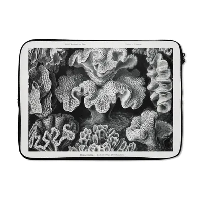 Produktbild von MuchoWow® Laptop Hülle 13 Zoll Kunst - Koralle - Ernst Haeckel - Alte Meister - Natur Laptoptasche - Laptophülle - Sleeve - Rundumschutz
