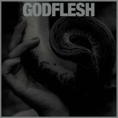 Obrázek produktu pro Godflesh: (Black Vinyl) - - (LP / P)