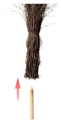 Produktbild von Reisigbesen Hexenbesen aus Naturreisig ca. 120–150 cm – Handgefertigter Reisigbesen aus Birke | Dekoration & Brauchtum