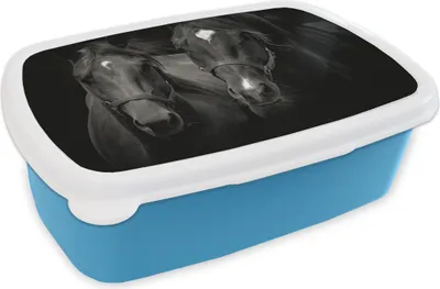 Produktbild von KitchenYeah® Lunchbox Brotzeit Brotdose 17x11 cm Pferde - Tiere - Schwarz Kinder Brotzeitdose - Lunch - Kunststoff  - Brotbüchse - Sandwichbox - Lunchbox für Kinder