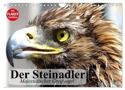 Produktbild von Der Steinadler. Majestätischer Greifvogel (Wandkalender 2027 DIN A4 quer), CALVENDO Monatskalender