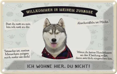 Produktbild von vianmo Blechschild 12x18 cm Tiere Haski willkommen wohne hier Hund