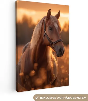 Produktbild von MuchoWow® - Leinwandbilder - Pferd - Natur - Tier - Braun - Tierporträt, Wandbild, Wanddeko Bilder Wohnzimmer, 80x120 cm