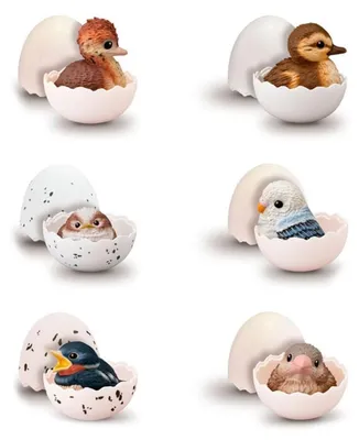 Produktbild von Bandai Vogelküken-figur Sortiert 7 Cm Mehrfarbig Mehrfarbig One Size
