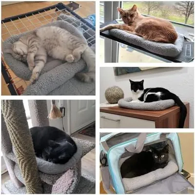 Produktbild von Katzenbett Ultraweiche Katzensofa rutschfeste Unterseite Katzenkissen flauschig für Katze/Hasen(Grau), 38CM x 26CM