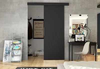 A modern interior scene featuring a black sliding door, a desk with a laptop, and decorative items.