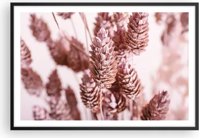 Produktbild von Gerahmtes Poster - Schwarzer Rahmen - Getrocknet Blume Eco - 91,5x61 cm - Wand Bild - Wanddeko - Wandbilder - Kunstposter - Wandposter - Bilderrahmen - Bilder - Kunstdruck - P2BAA91x61-4912