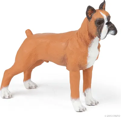 Produktbild von Papo Farm Life Hond Boxer 54019