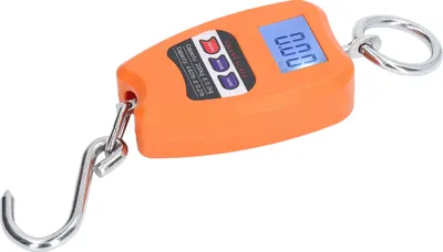 Image de Balance digitale à suspendre Balance portable multifonctionnelle de 200 kg avec écran LCD