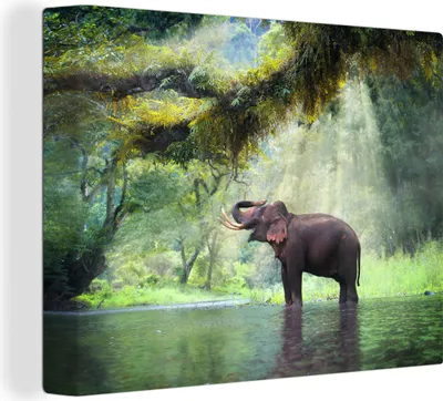 Produktbild von MuchoWow® - Leinwandbilder - Dschungel - Elefant - Wasser, Wandbild, Wanddeko Bilder Wohnzimmer, 80x60cm