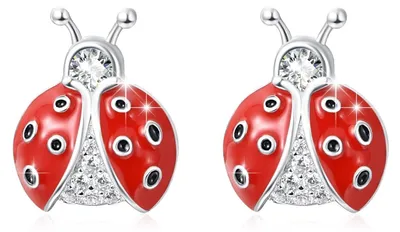 Immagine prodotto di Orecchini a forma di coccinella - Argento sterling 925 - Ipoallergenici - Piccola coccinella rossa - Adatti a donne e ragazze...