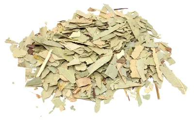 Image de Eucalyptus (feuilles coupées), 1 kg