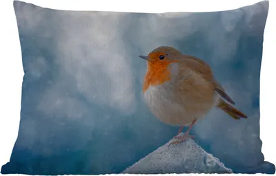 Produktbild von MuchoWow® Outdoor Kissen - Rotkehlchen - Winter - Blau - 60x40 cm - Wetterfest - Lounge Kissen - Zierkissen - Kissen für Innenräume