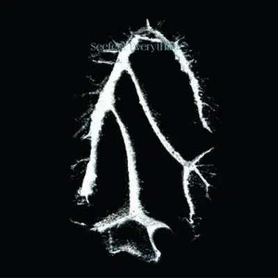 Obrázek produktu pro Seefeel: Everything ²