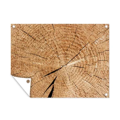 Obrázek produktu pro MuchoWow® Zahradní plakáty - Kmen stromu - letokruhy stromu - Dřevo - 120x160 cm - Zahradní dekorace