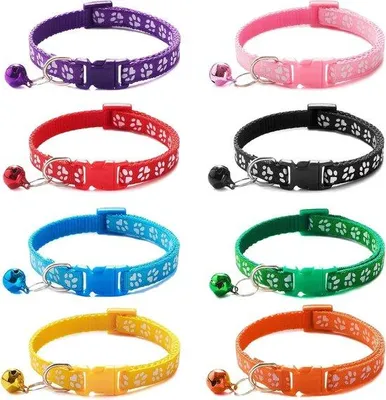 Immagine prodotto di Collari regolabili per cani - Set da 8 pezzi