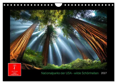 Produktbild von Nationalparks der USA - wilde Schönheiten (Wandkalender 2027 DIN A4 quer), CALVENDO Monatskalender