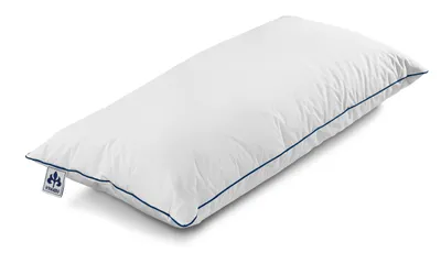 Produktbild von Daunen-Nackenstützkissen Irisette Till 40x80 cm