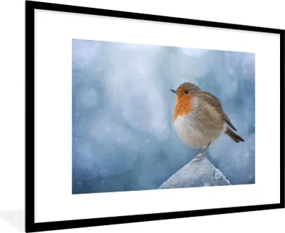Produktbild von MuchoWow® Gerahmtes Poster Rotkehlchen - Winter - Blau 90x60 cm - Poster mit Schwarzem Bilderrahmen Wandposter Rahmen Foto Bilder - Wanddekoration - Fotos