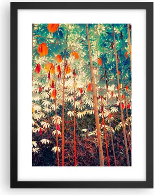 Produktbild von Gerahmtes Poster - Schwarzer Rahmen - Pflanzen tropisch orange - 30x40 cm - Wand Bild - Wanddeko - Wandbilder - Kunstposter - Wandposter - Bilderrahmen - Bilder - Kunstdruck - P2BPA30x40-4393