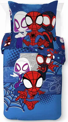 Produktbild von Marvel Spidey & His Amazing Friends Vroom Bettwäscheset aus 100 % Baumw