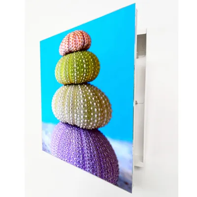 Produktbild von Schlüsselkasten Key Box mit Glasfront, 20 Haken, 28x32 cm, weiß, Seeigel Motiv, Wand Schlüsselbox, moderner Schlüsselhalter