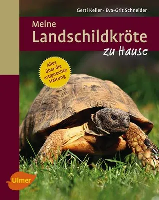 Produktbild von Meine Landschildkröte zu Hause