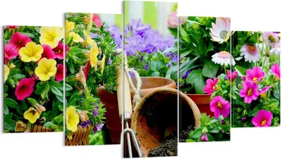 Produktbild von Bild auf Leinwand - Leinwandbild - Pflanzen Garten Frühling Natur - 160x85cm - Wand Bild - Wanddeko - Leinwanddruck - Bilder - Kunstdruck - Wanddekoration - Leinwand bilder - Wandkunst - EA160x85-2682