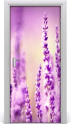 Produktbild von Tulup Türaufkleber 95x205 cm Dekorative Aufkleber Selbstklebend Wasserdichte Tapete Abnehmbar Schlafzimmer Wohnzimmer Wohnkultur - Lavendel Klebe