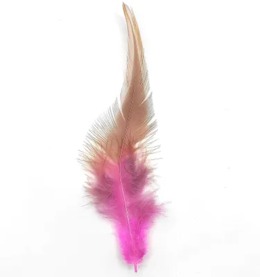 Produktbild von Federn Hahnenfedern, ca. 10-15 cm, 50 Stück, Rosa